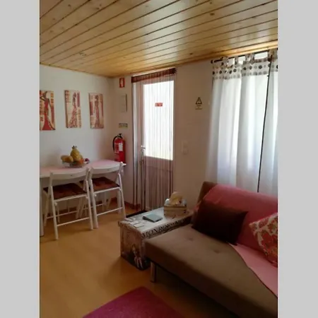 Apartamento Flor Em Διαμέρισμα
